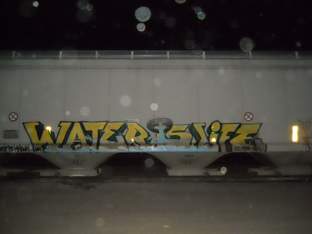 Let it be known all threw the land...